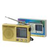 Radio Porttil AM / FM Salida Auric - a pilas (2 AA no inc)