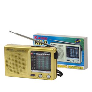 Radio Porttil AM / FM Salida Auric - a pilas (2 AA no inc)