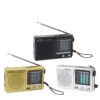 Radio Porttil AM / FM Salida Auric - a pilas (2 AA no inc)