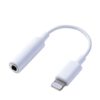 Adaptador Lightning A Audio 3.5 Rep. ORIGINAL