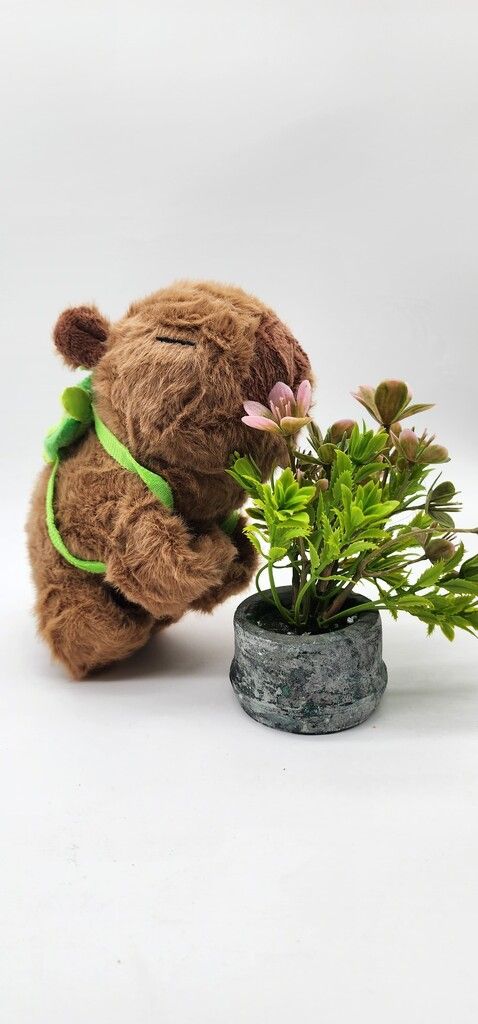 Capibara c/ Mochila Peluche Abrazo - Kawaii  - 16Cm