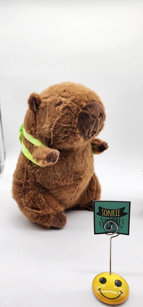 Capibara c/ Mochila Peluche - Kawaii  - 25Cm