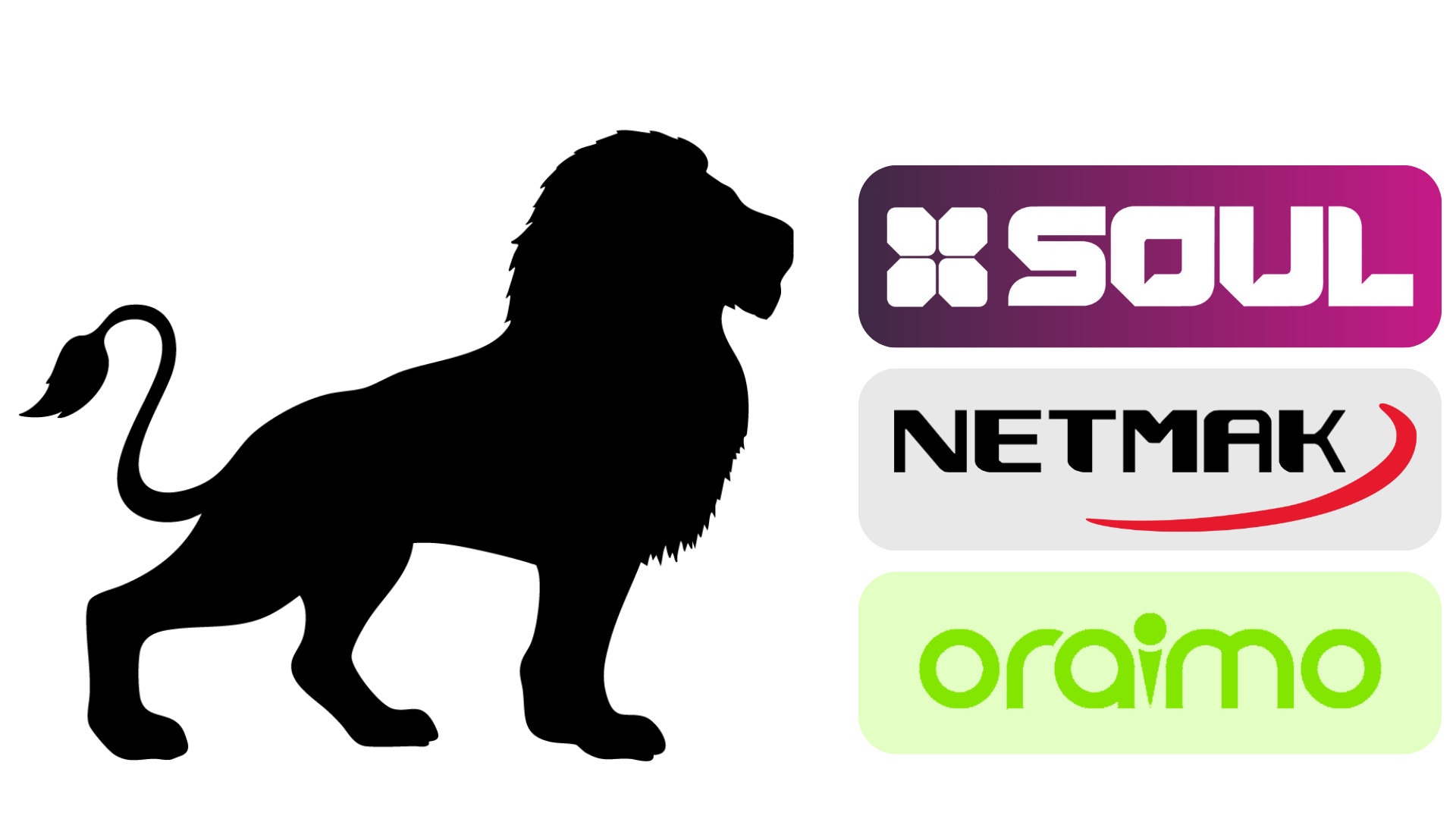Logo Lyon Import distribuidor mayorista tecnología en Bariloche con marcas oficiales Soul, Netmak y Oraimo